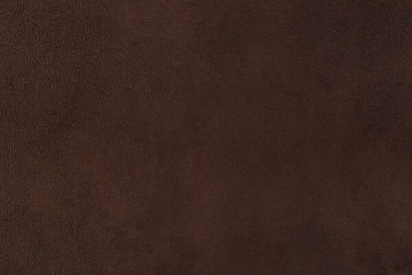 gusto_t13