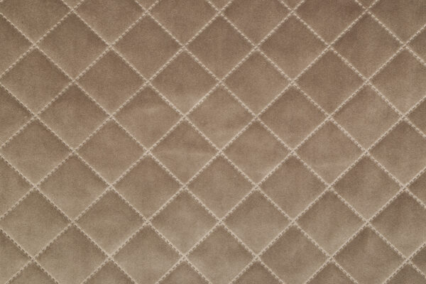 salvador_caro_t03